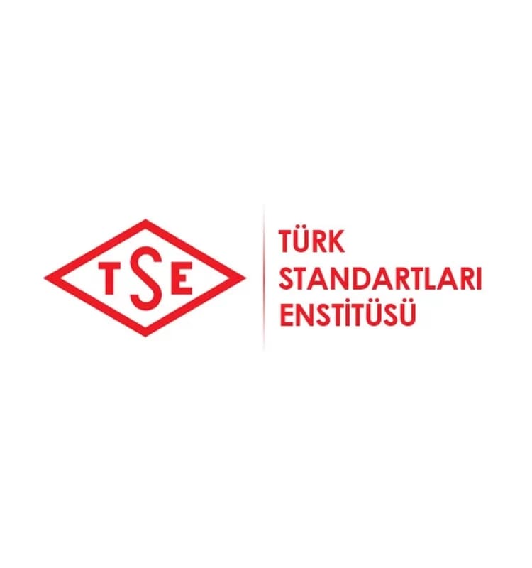 TSE